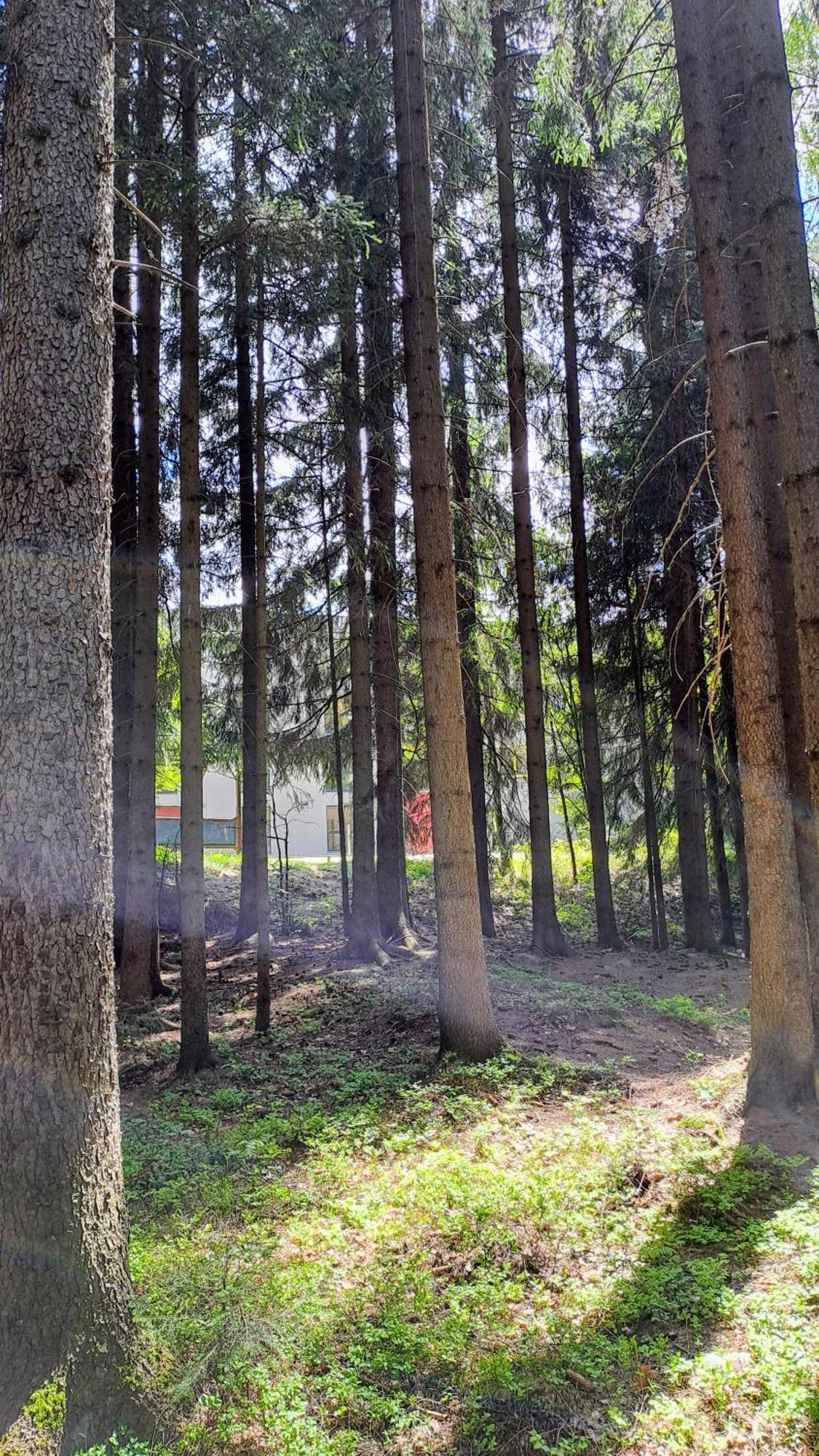 Plne Vybaveny Apartman Pod Mumlavskym Vodopadem, Zahrada S Ohnistem, Idealni Vychozi Bod Pro Turistiku, U Cesty Na Hrebeny, Kousek Do Centra, Absolutni Klid, Vybaveny I Pro Deti, Wellness A Fitko Naproti Harrachov Bagian luar foto